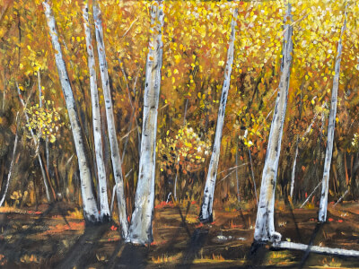 Painting experience